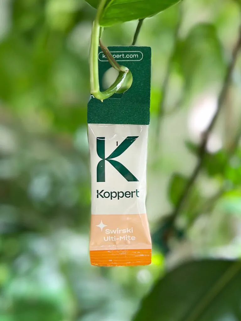 Read more about the article Sposób na wciornastka i mączlika – saszetki Swirski Ulti-Mite