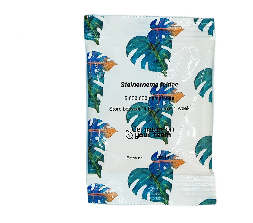 Nicienie na ziemiórki Steinernema feltiae 2,5 mln firmy Koppert